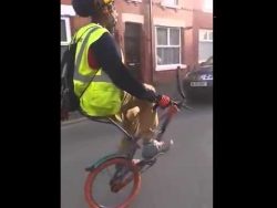 Wer braucht bei einem Fahrrad schon das Vorderrad? wer braucht bei einem fahrrad sc