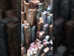 wie loesche ich nur das kleine t