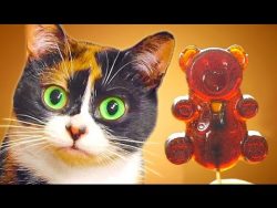 wie man selbst einen lutscher ma