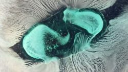 Wie sich Tabletten im Wasser auflösen wie sich tabletten im wasser auf