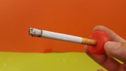 wie viel dreck steckt in einer z