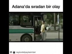 Wie war das Dummheit muss bestraft werden? wie war das dummheit muss bestra