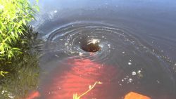 Wir haben ein Wasserloch gefunden wir haben ein wasserloch gefunde