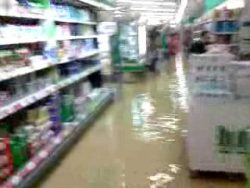 wir haetten den laden nicht am f