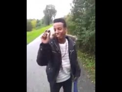 wow eine kastanie auf der strass