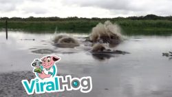 wuerdest du hier baden gehen im
