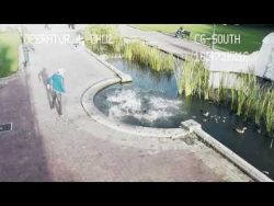 You can’t even text and walk you cant even text and walk