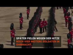 zu lange spalier gestanden