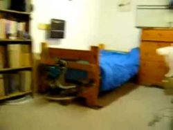 Zu lauter Wecker für dich und deine Nachbarn zu lauter wecker fuer dich und d