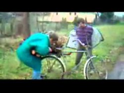 zwei besoffene und ein baumstump