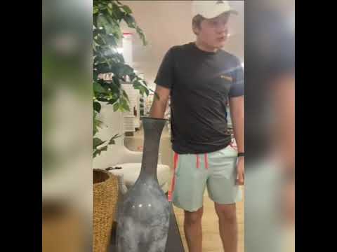 Hand steckt in Blumen-Vase fest - Funny hand blumenvase