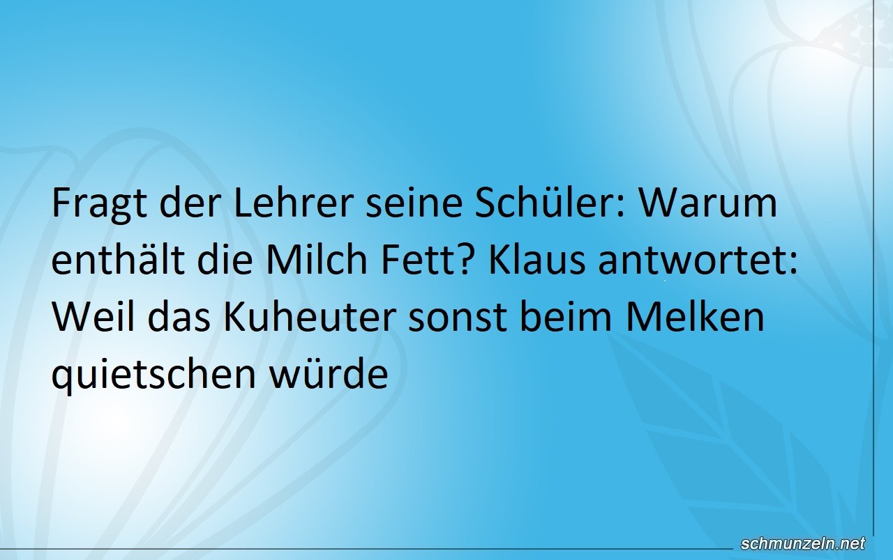 milch fett
