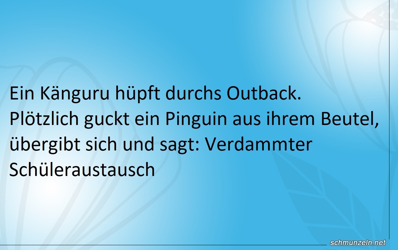 pinguin schueleraustausch
