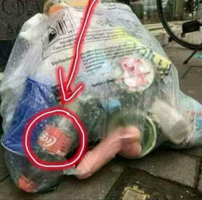 Funny Pics und lustige Bilder + Picdump #044 Picdump 044 6