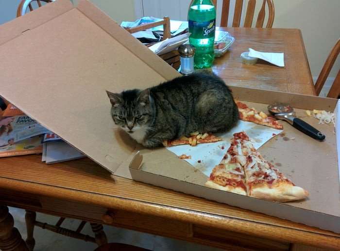 Picdump 045 1