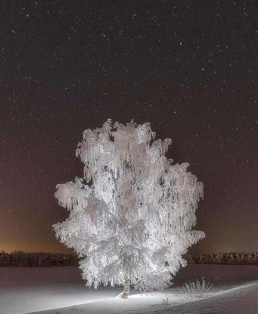 Picdump 045 12