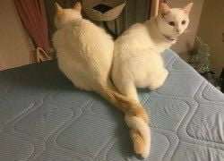 Picdump 045 6