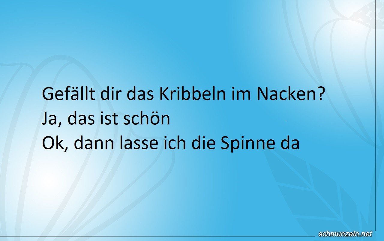 spinne nacken