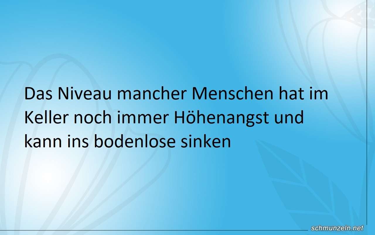 Niveauhoehenflug