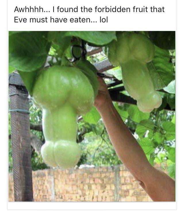 Picdump 046 7