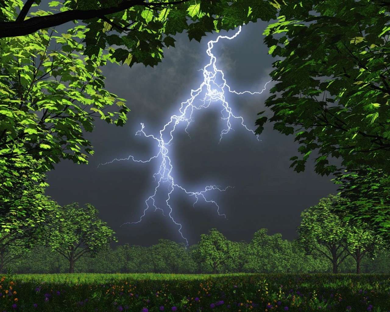 Bei einem Gewitter nicht unter dem Baum Schutz suchen blitzbaum