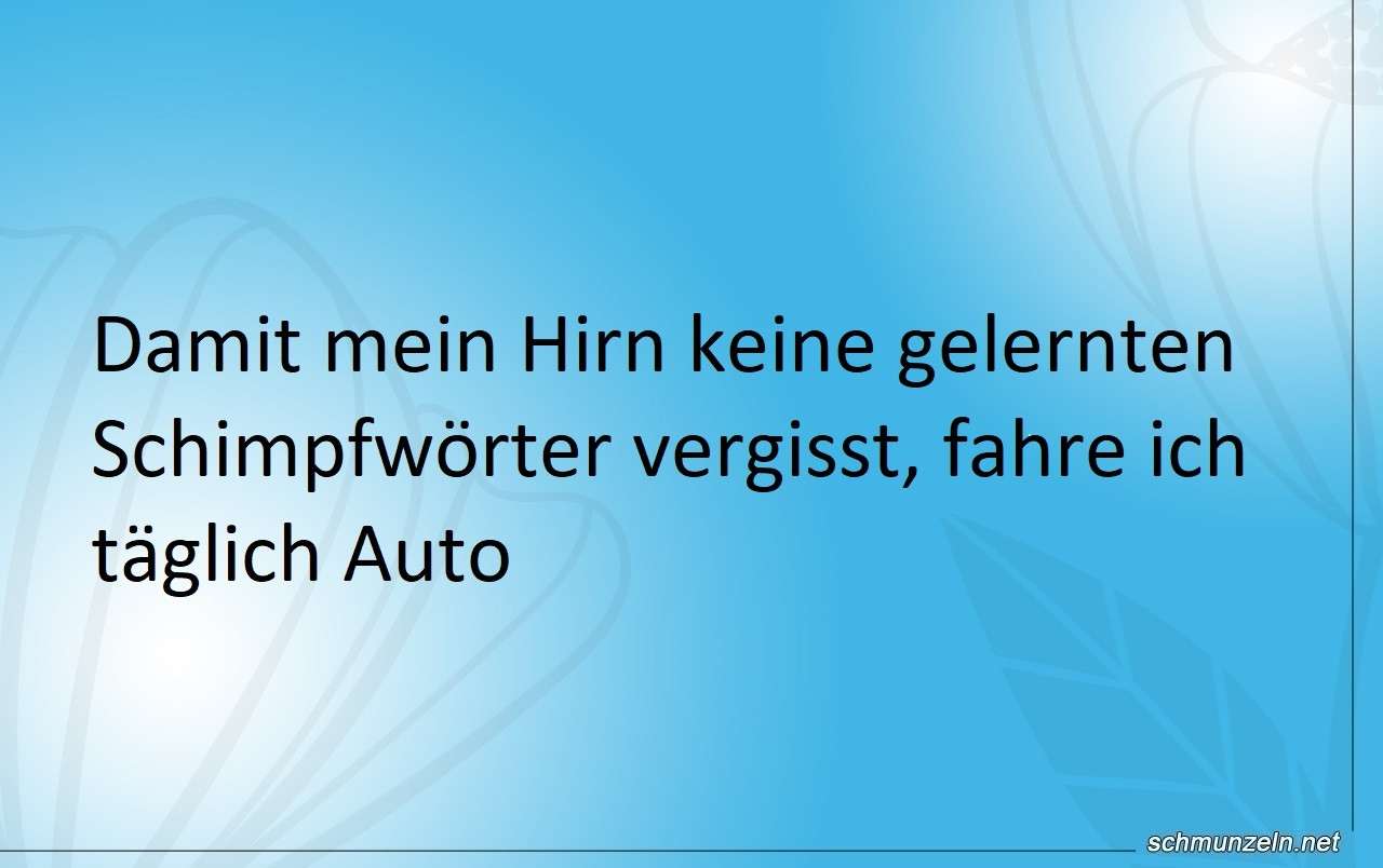 hirn schimpfwoerter