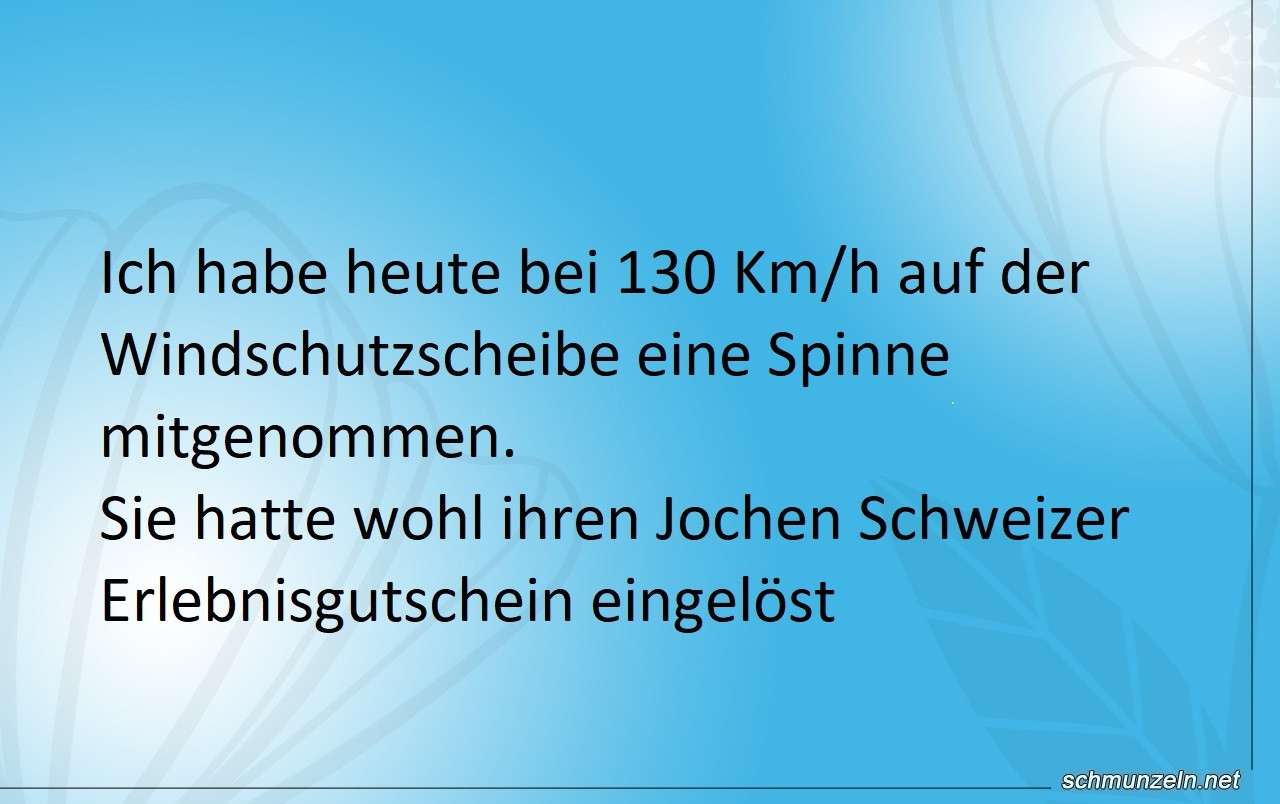 Wenn die Spinne den Erlebnisgutschein einlöst spinne erlebnisgutschein
