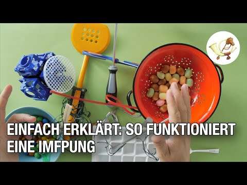 impfung funktioniert