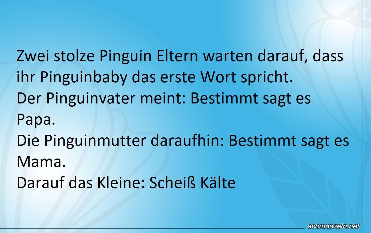 pinguinbaby wort
