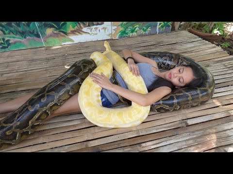 Schlangenmassage zur Angstbewältigung schlange angst