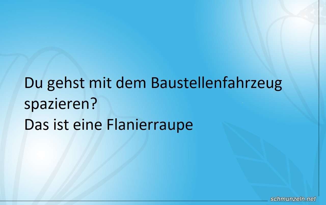 spazieren flanierraupe