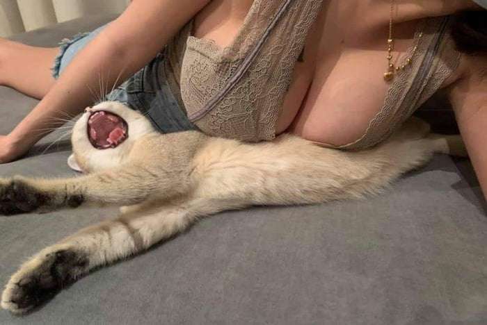 Picdump 050 15