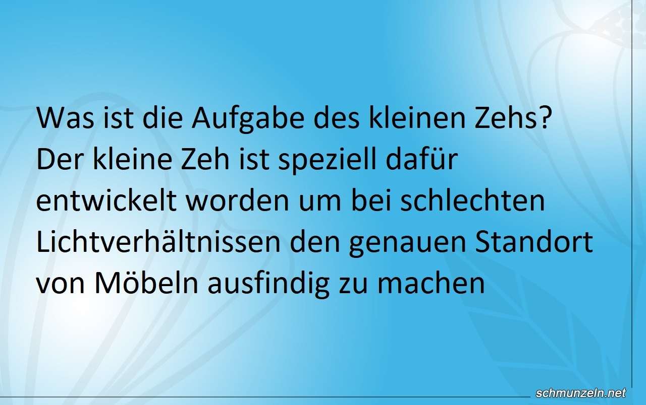 Der kleine Zeh als Standort Ermittler aufgabe kleiner zeh