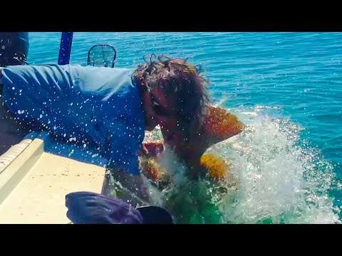 ULTIMATE FISHING FAILS - Pleiten beim Fischen fischen fails