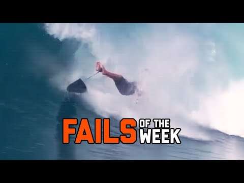 Nature Strikes Back - Fails of the Week | FailArmy natur fails