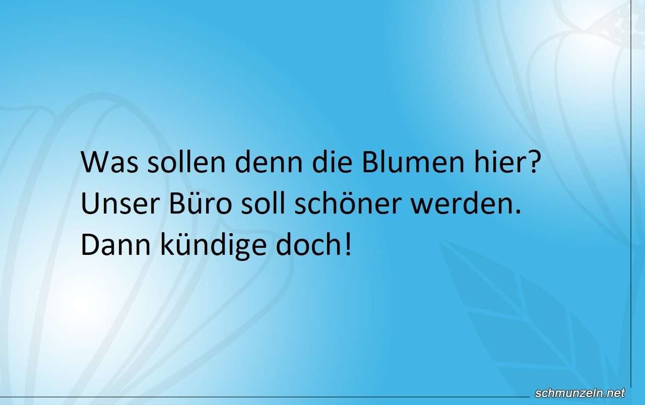 schoeneres buero
