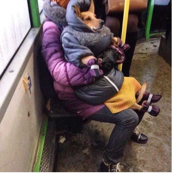 Funny Pics und lustige Bilder + Picdump #053 Picdump 053 10