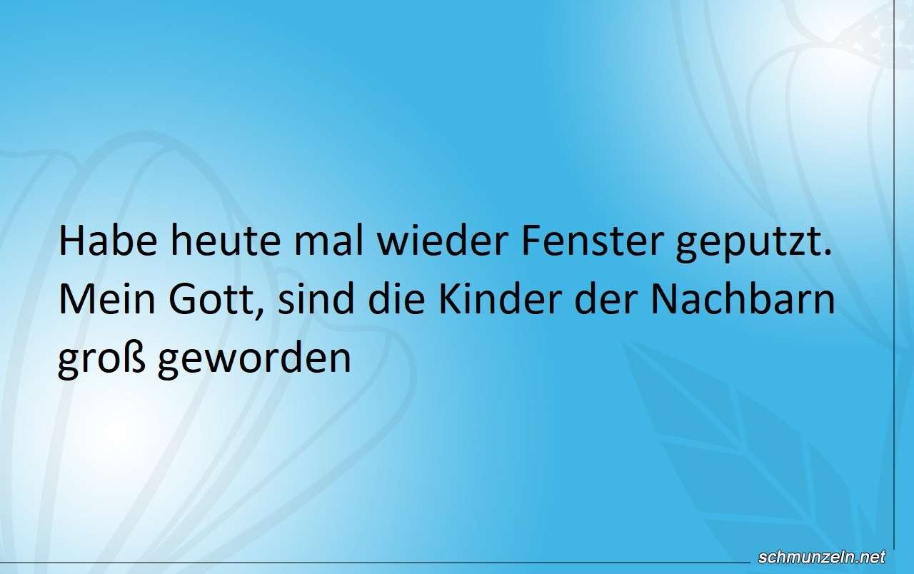 fenster geputzt