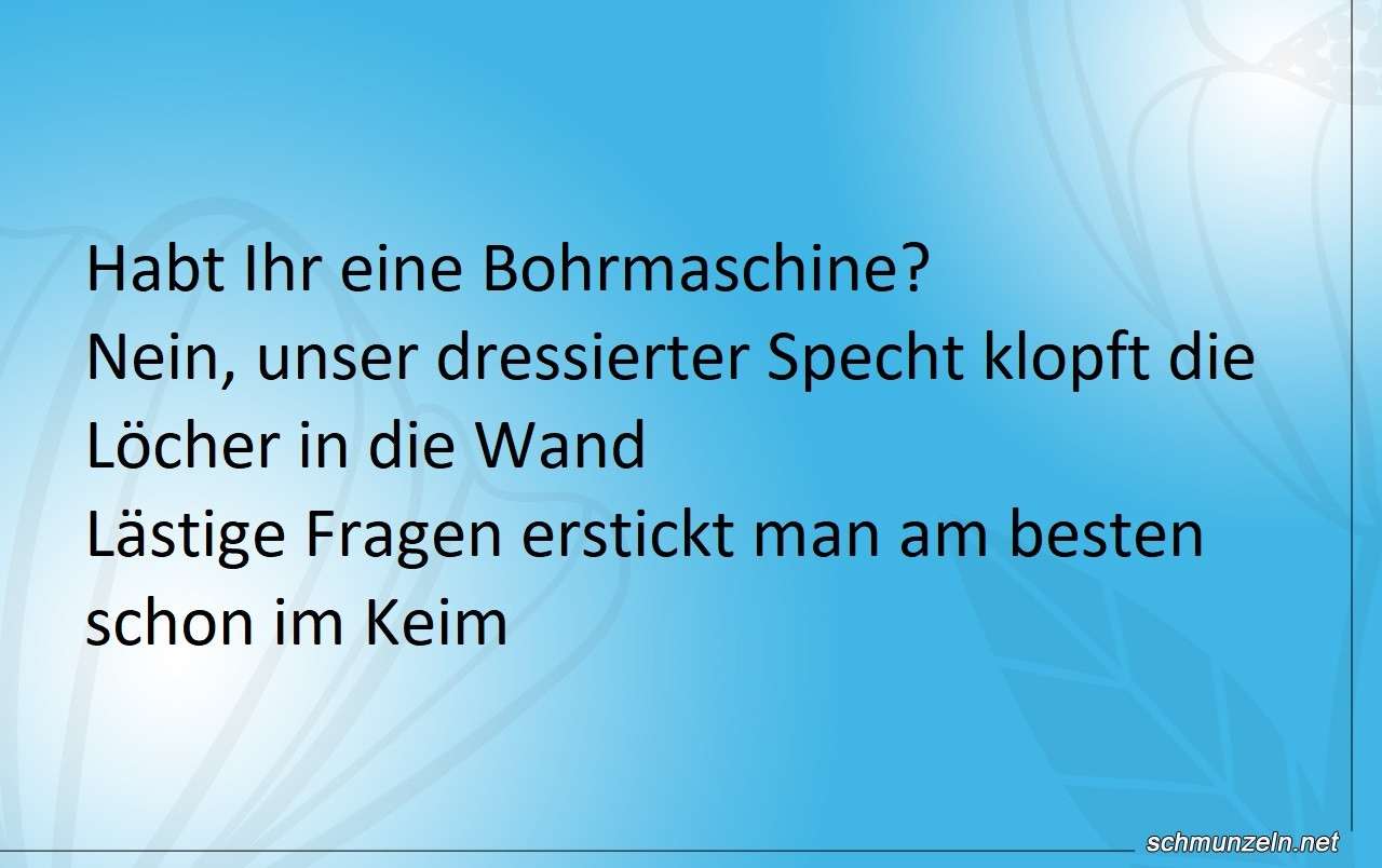 dressierter specht