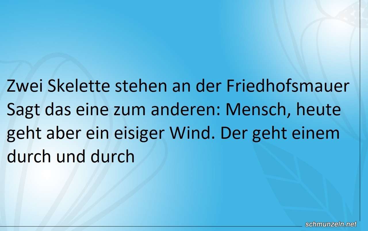 Zwei Skelette stehen an der Friedhofsmauer skelett windig