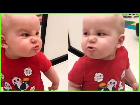 The Funniest Baby Video Series Of The Week lustige babys