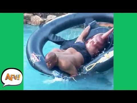 funny videos