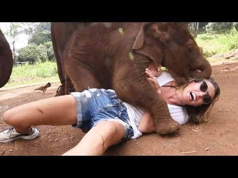 FAILS AROUND THE GLOBE | Worldwide Compilation of Failure weltweide fails