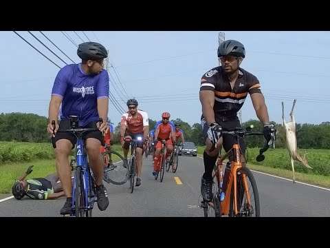 wildwechsel radfahren
