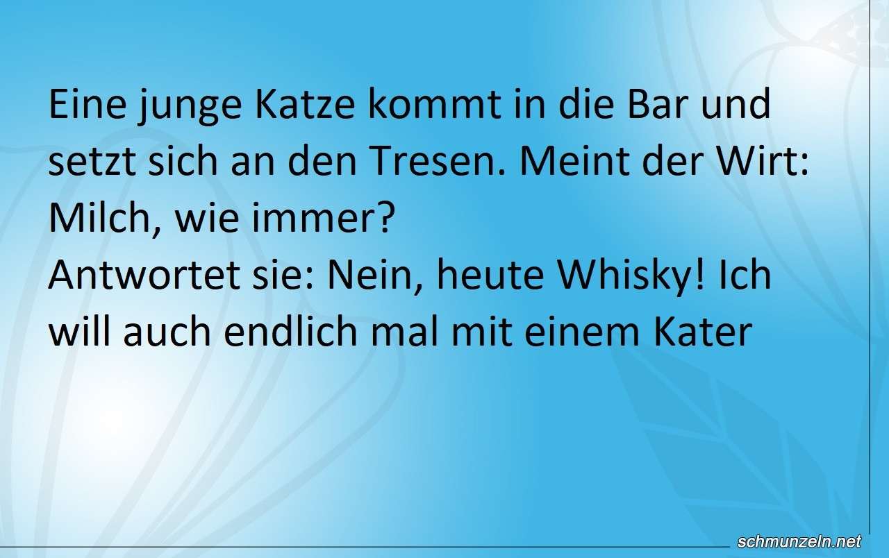 Ich will auch endlich mal mit einem Kater aufwachen katze milch