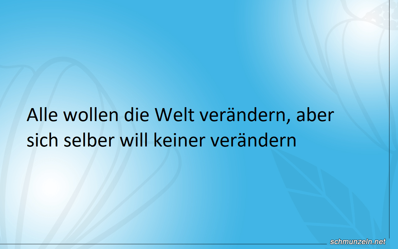 welt verbesserer