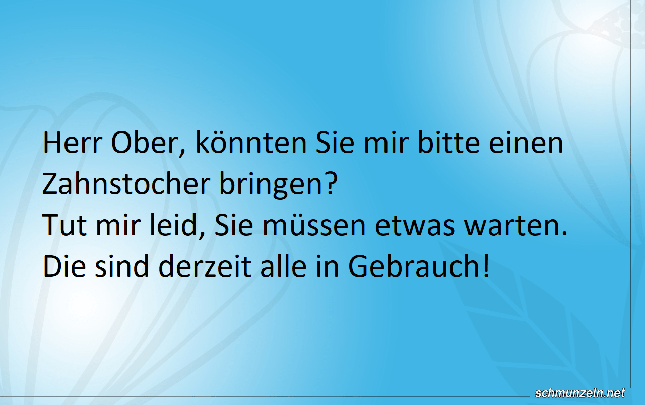 Könnten Sie mir bitte einen Zahnstocher bringen? zahn stocher