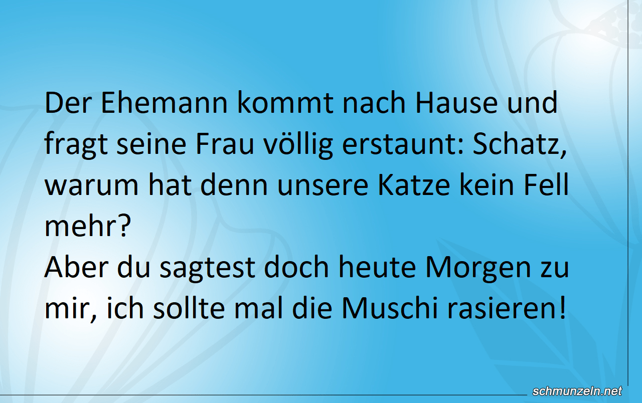 Schatz, warum hat die Katze kein Fell mehr? mu rasieren