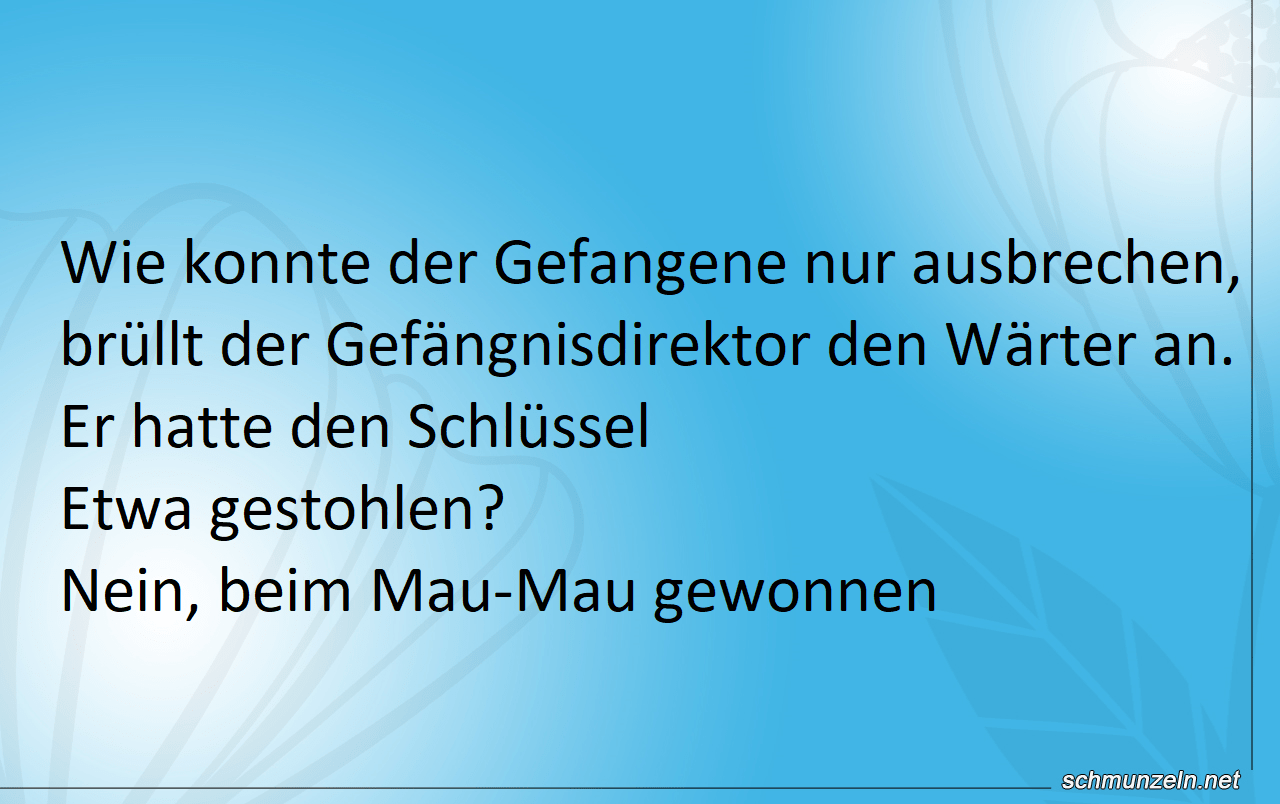 Wie konnte der Gefangene nur ausbrechen? gefangener ausbrechen