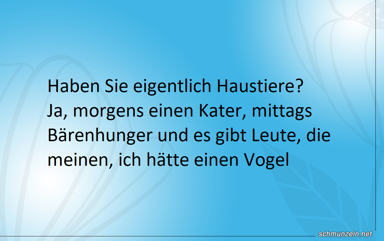 haustiere haben